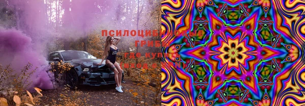 spice Бугульма