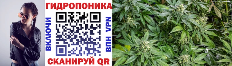 Каннабис семена Короча